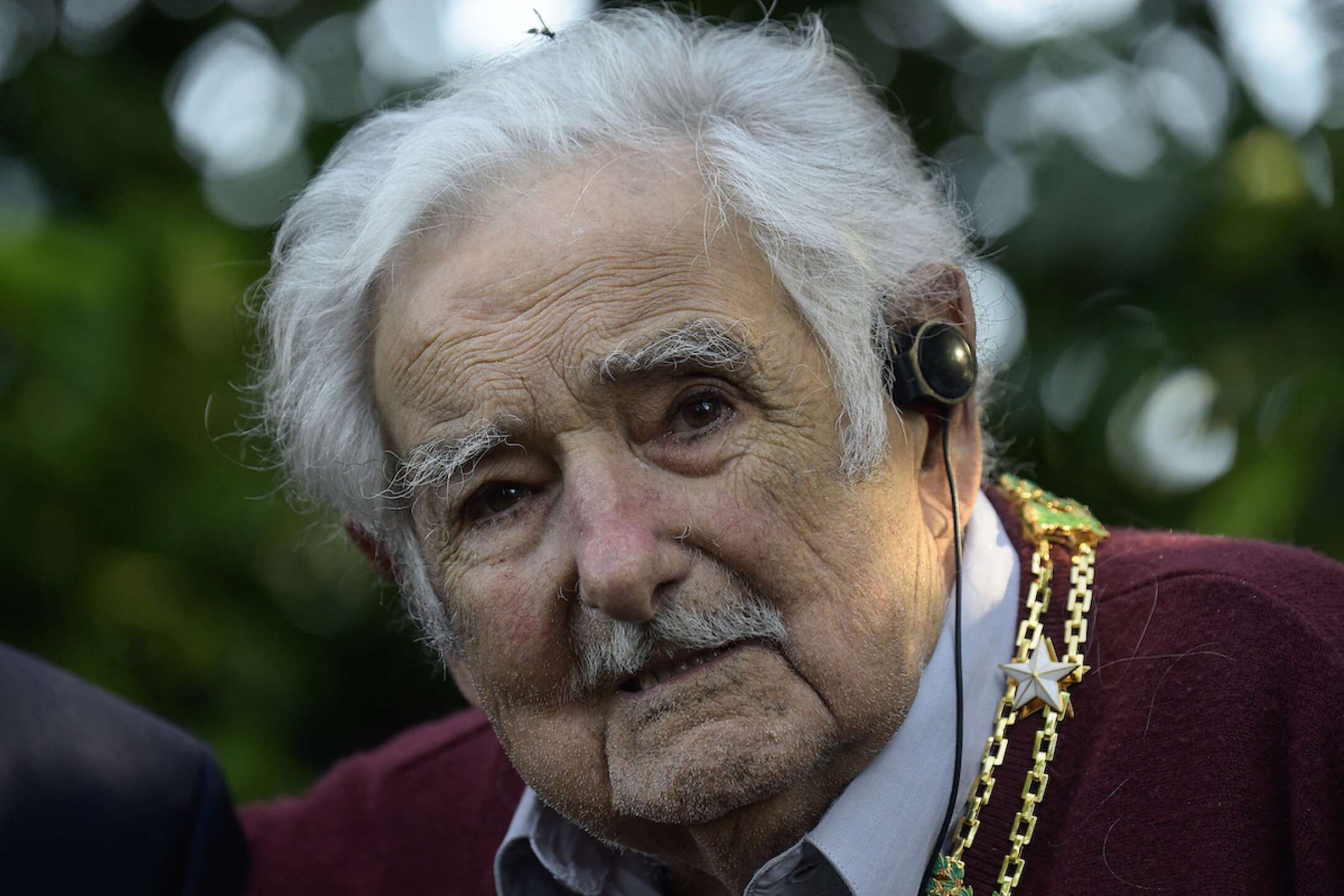 Pepe Mujica