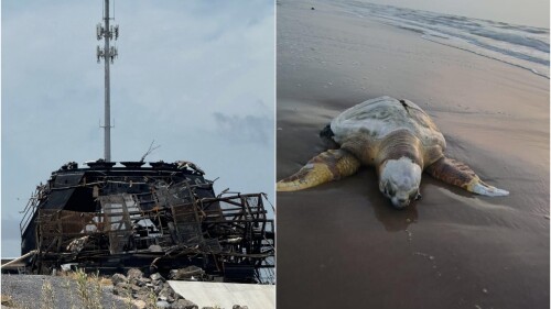 starship-basura-espacial-playa-tamaulipas.jpg