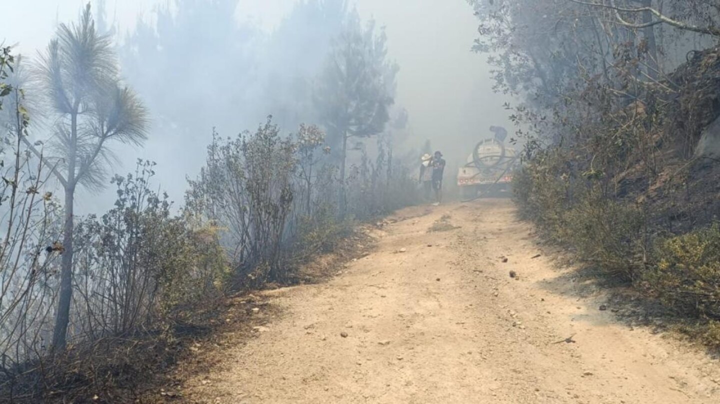 incendios forestales Veracruz