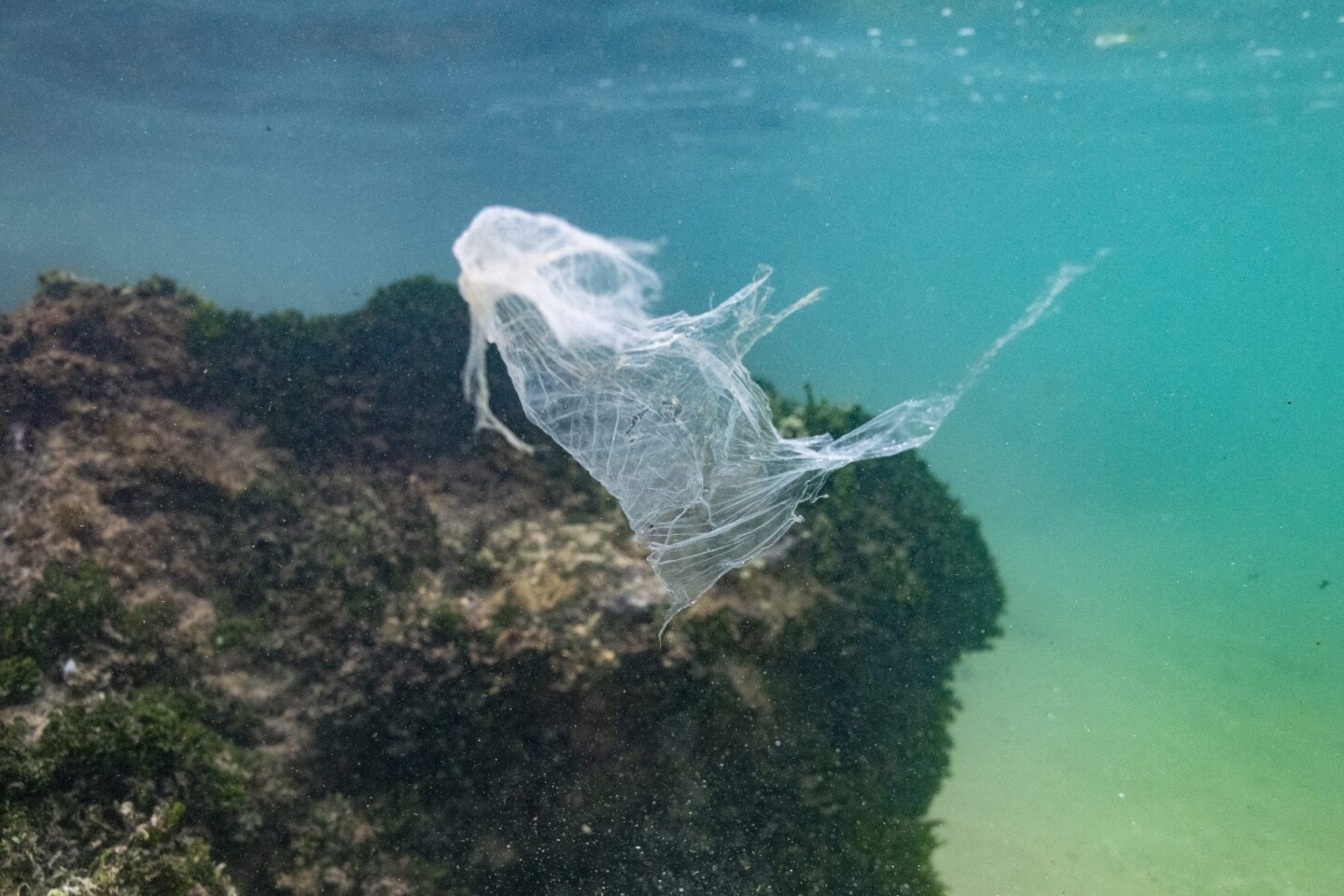 FILES-SRI LANKA-POLLUTION-France-paper-oceans-diplomacy-consumer