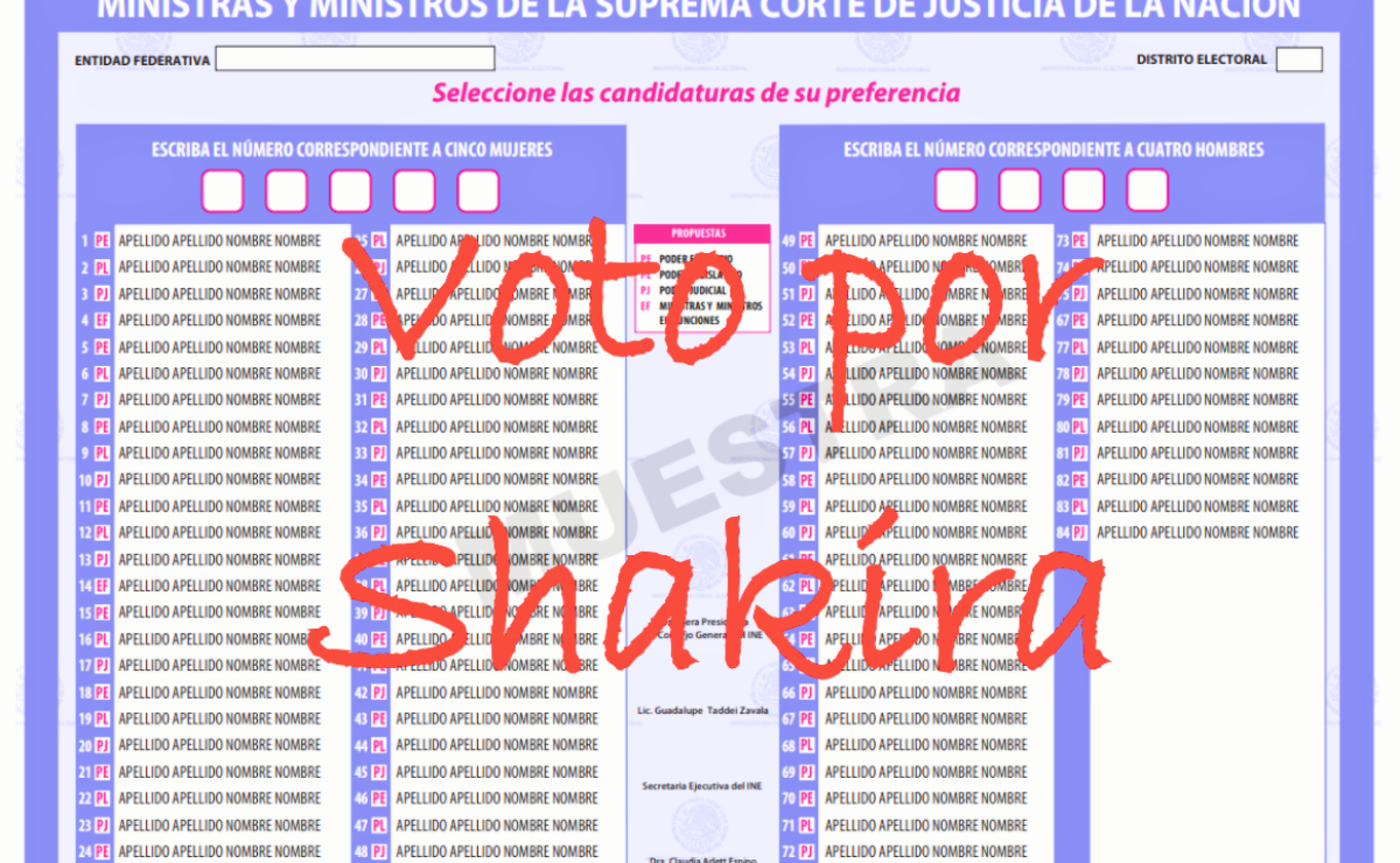 como-evitar-que-anulen-mi-voto-en-la-eleccion-judicial-2025.png