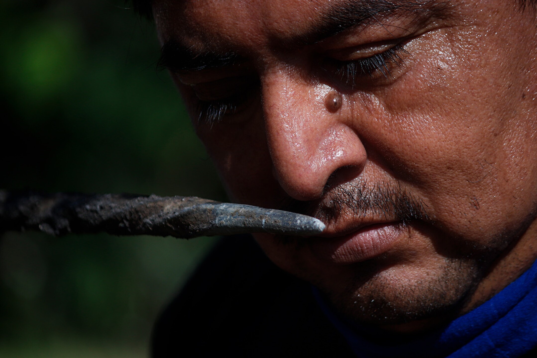 4CE4DAB2-86EF-403A-A547-9C93B04C877A