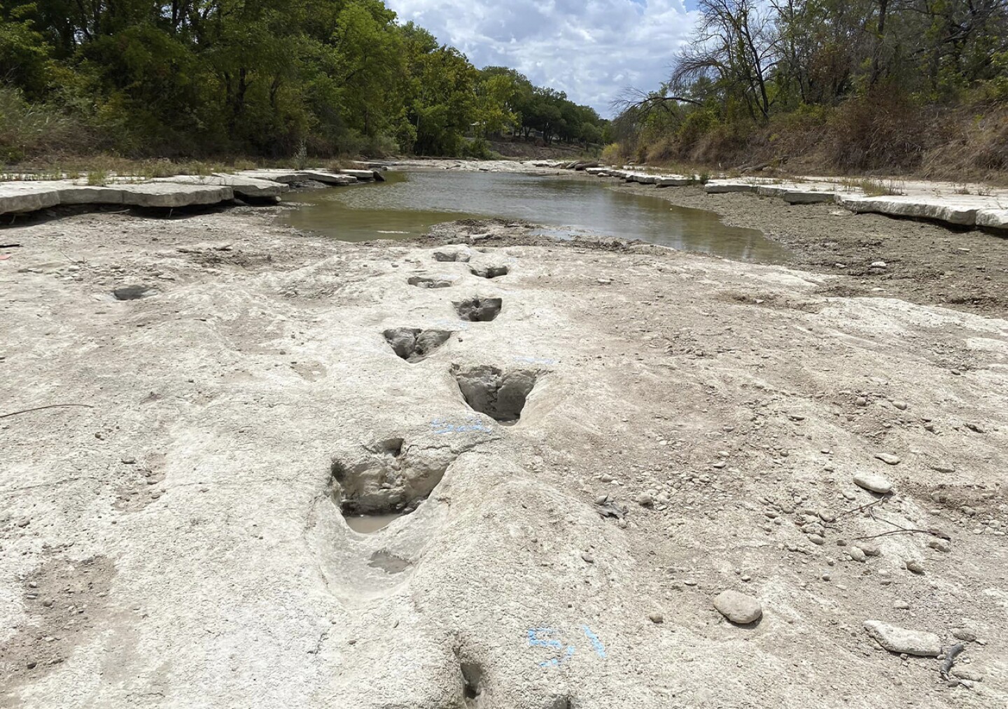 Dinosaurios