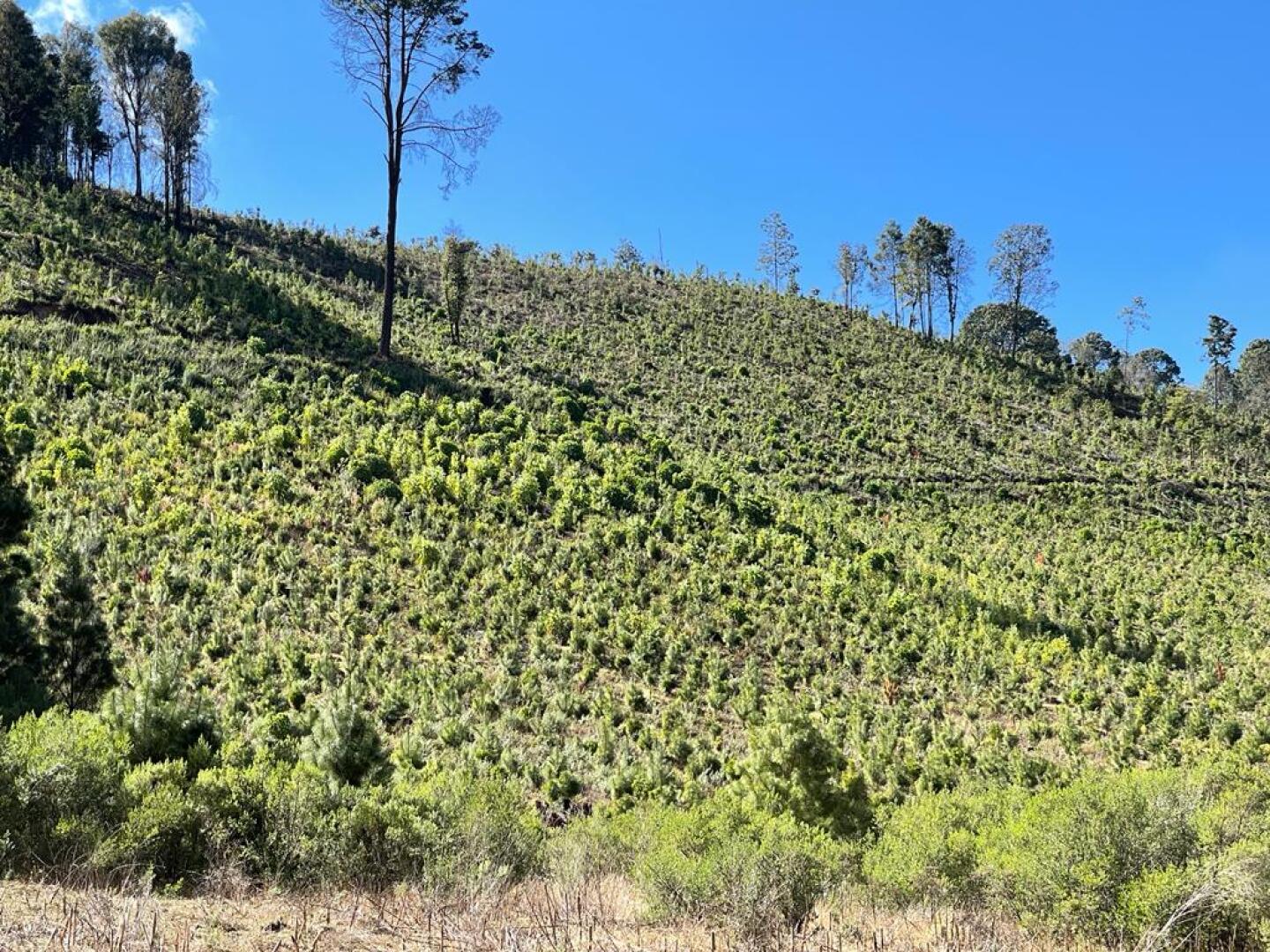 WhatsApp Image 2022-02-10 at 1.28.15 PM