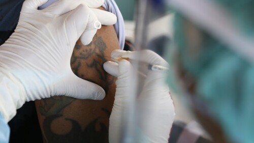 cepa h3n2 influenza-efe (3)