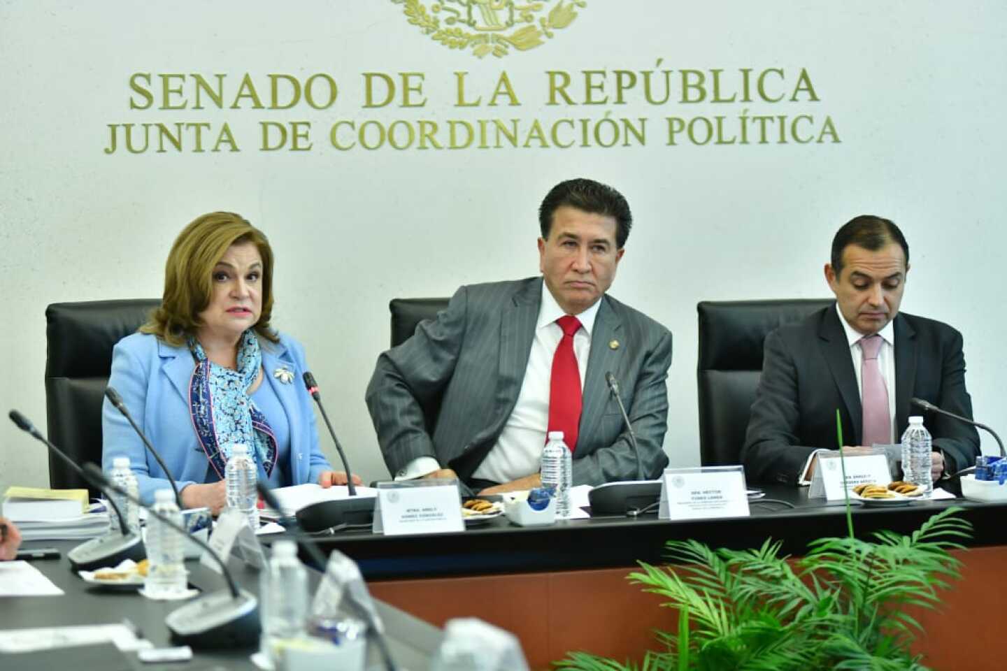 ArelyGomez_Senado_iinforme