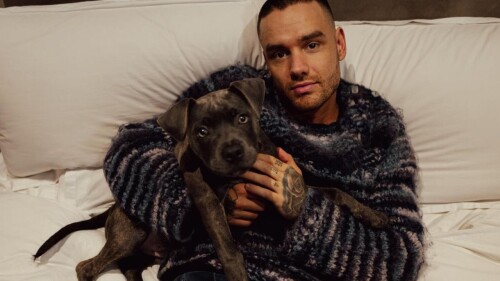 de-que-murio-liam-payne