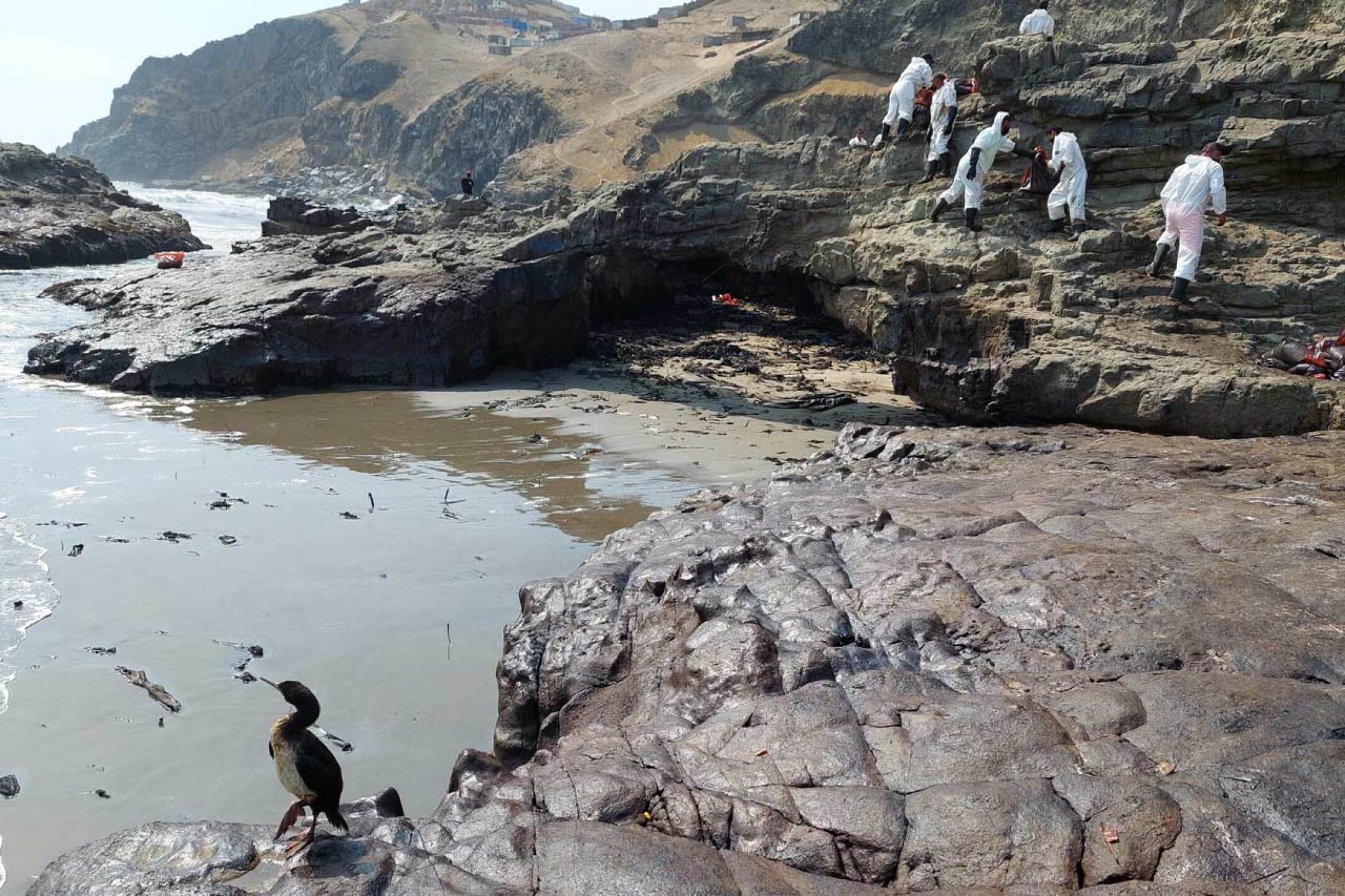 Peru-Repsol-derrame-tonga-4