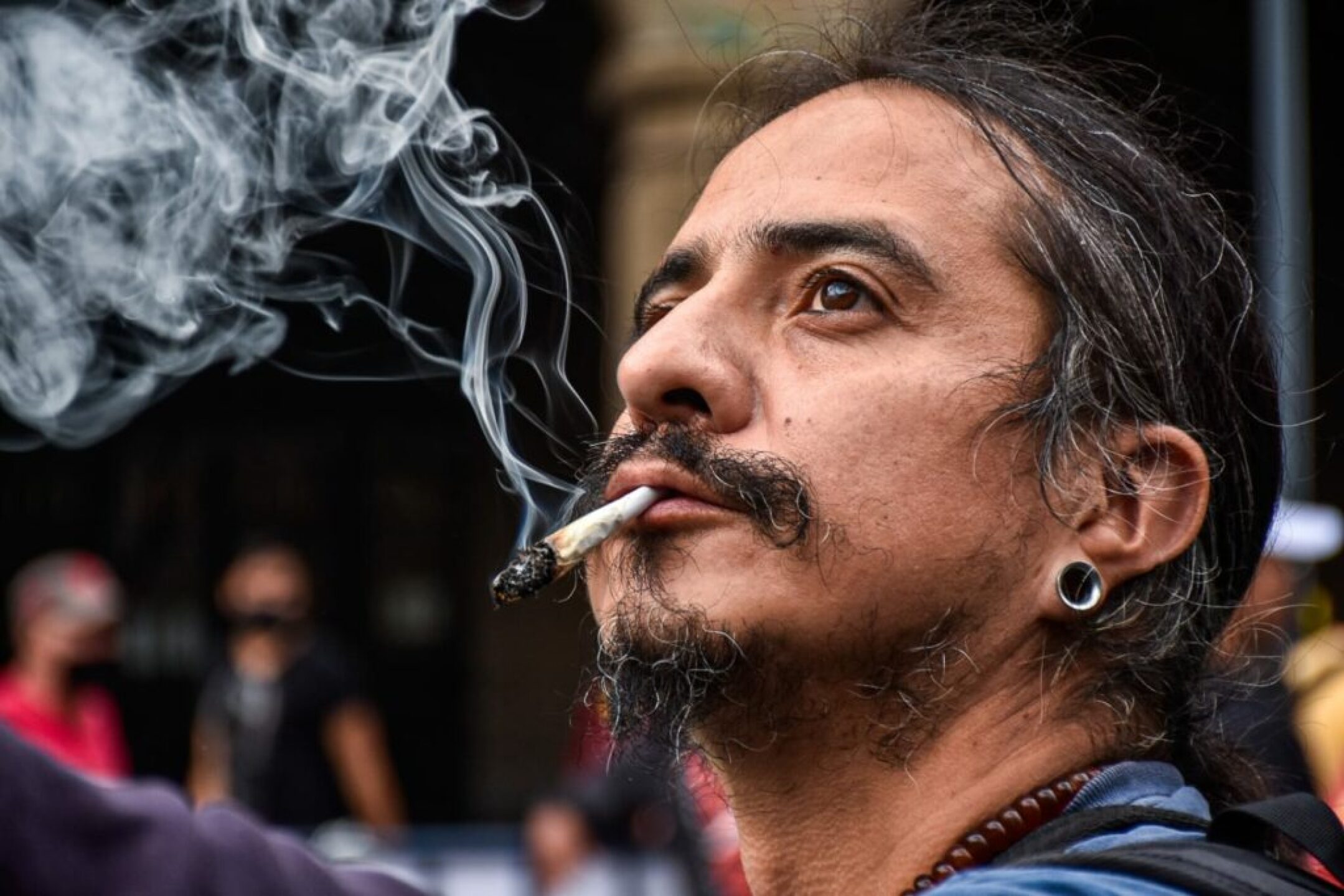 marihuana_cannabis_2-1024x683