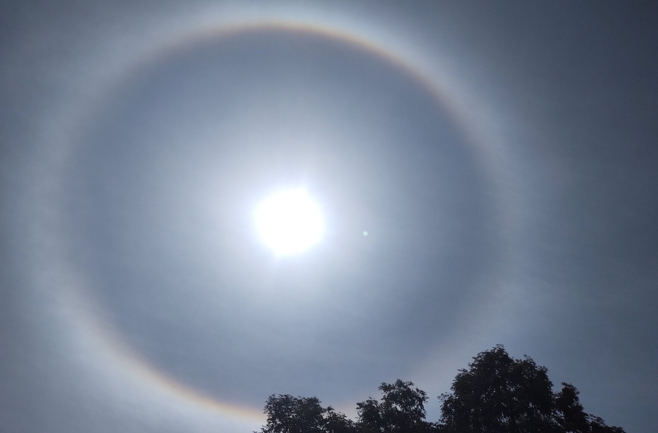 halo-solar-que-es-el-aro-alrededor-del-sol-y-por-que-se-forma-4