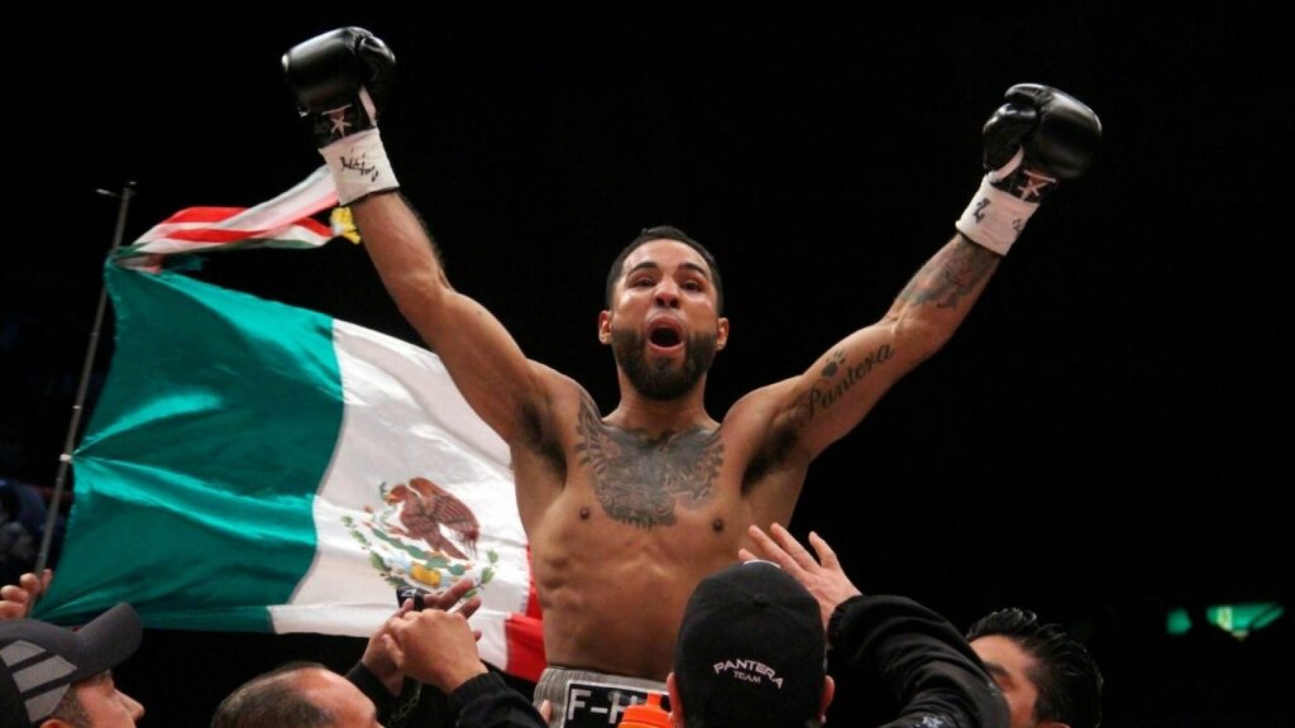 Luis-pantera-Nery-box-1024x576