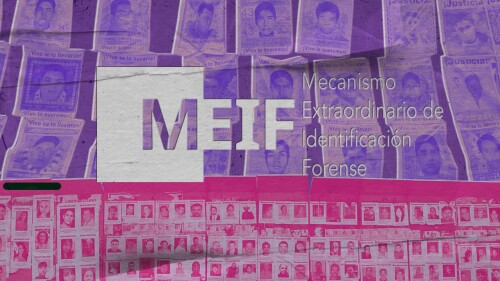 meif-crisis-forense