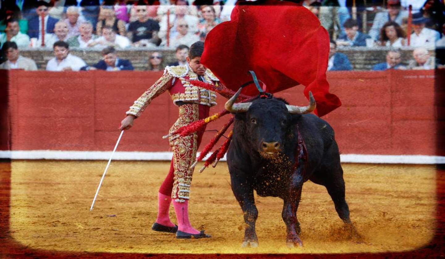 toros-lidia-extincion-mexico.jpg