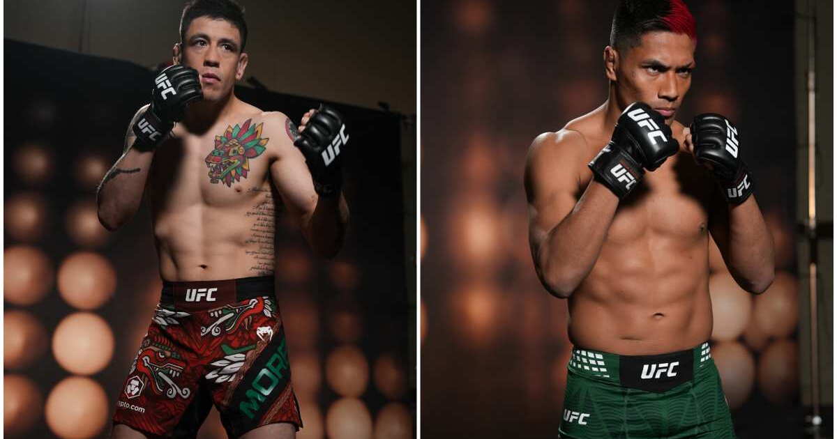 Ufc Unionized Peleadores de UFC México 2026 envían mensaje de unión a todo México ...