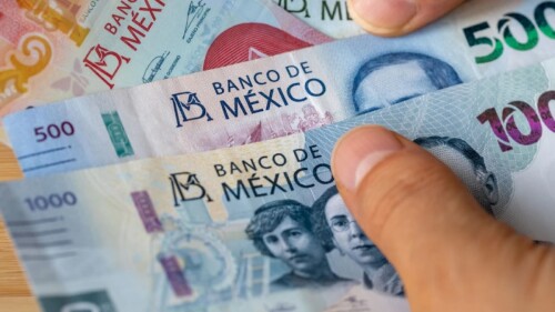 radiografia hogares mexicanos.jpeg