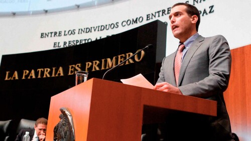 Jorge-Emilio-González-niño-verde