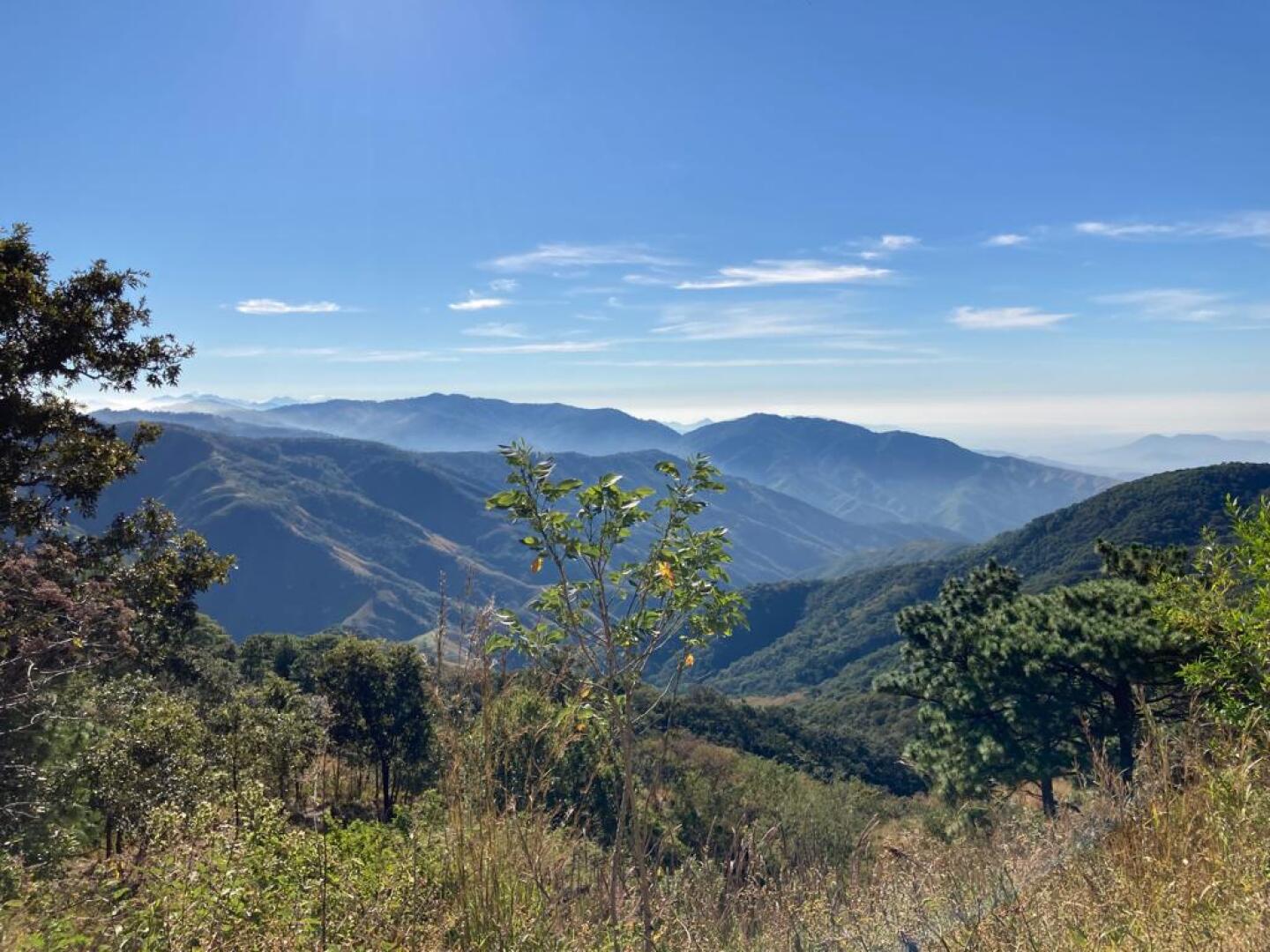 chimalapas-principal