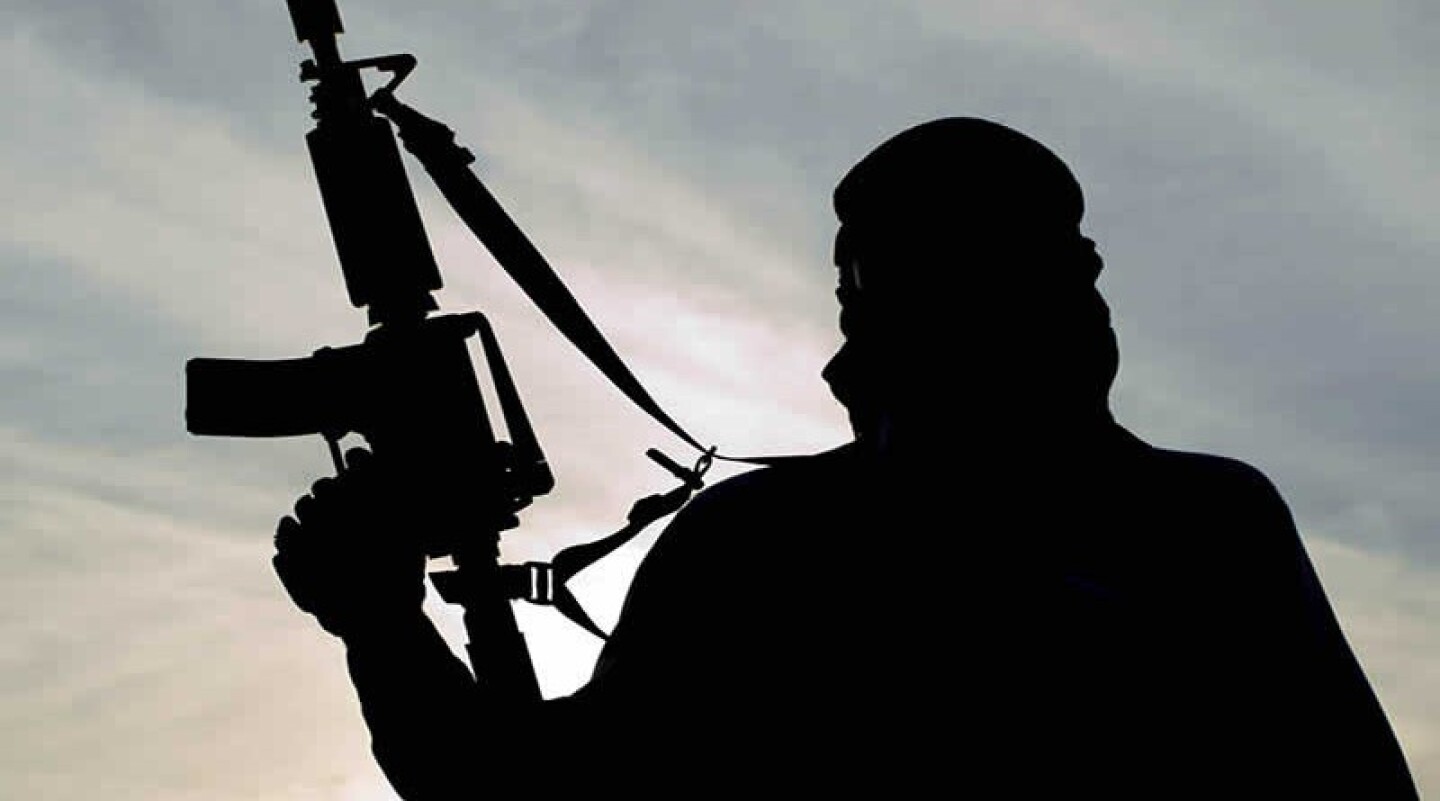 vs-terrorismo-800x445