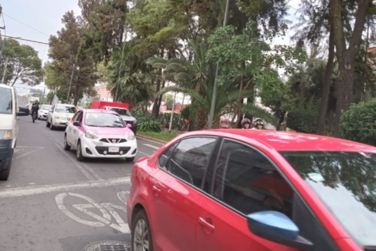 hoy no circula 8 agosto