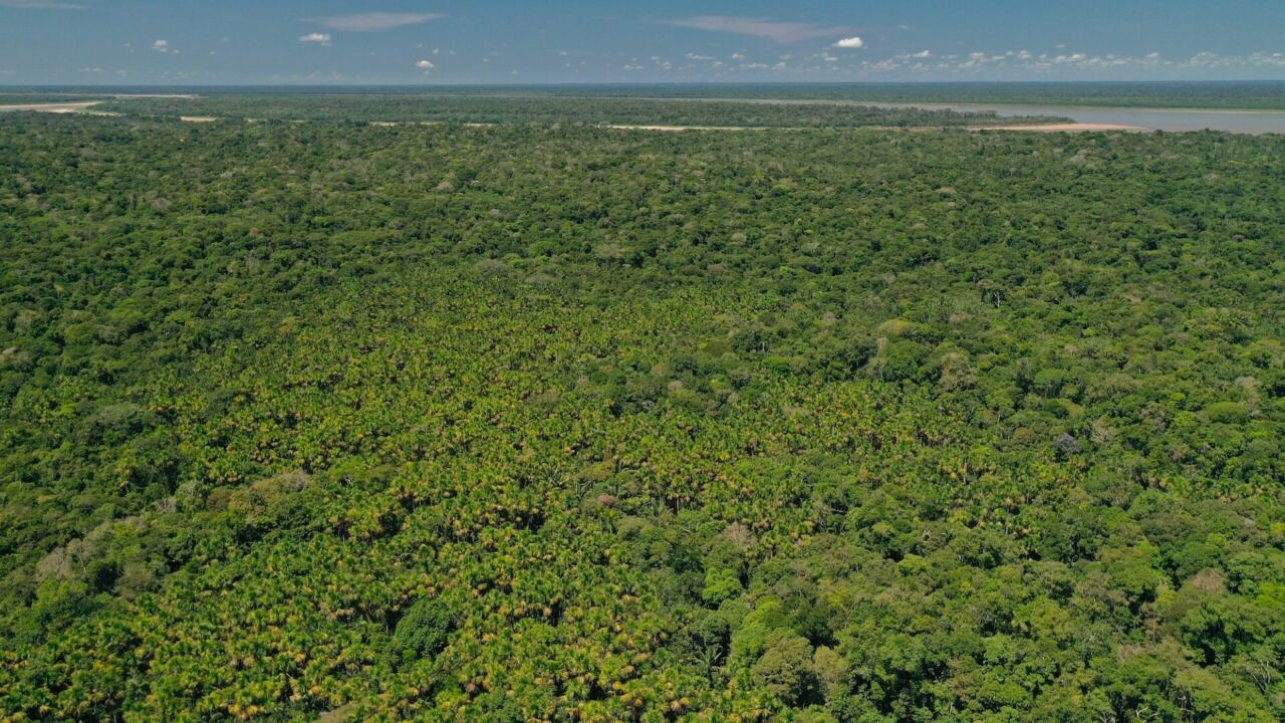Parque-Nacional-Natural-Amacayacu-1280x720