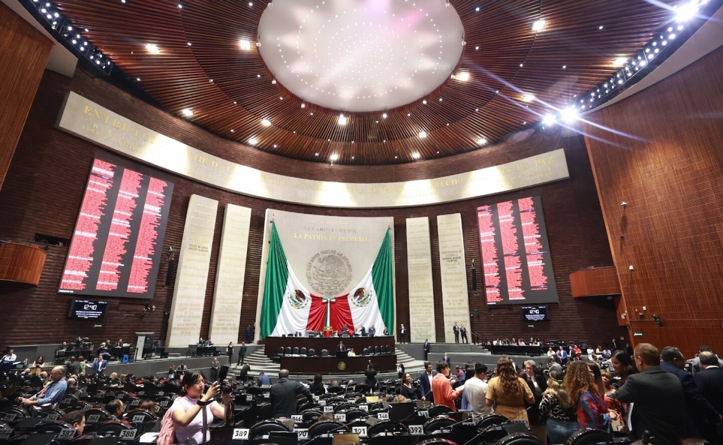 diputados_nepotismo_electoral.jpeg