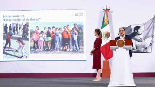 estrategia desarme.jpg