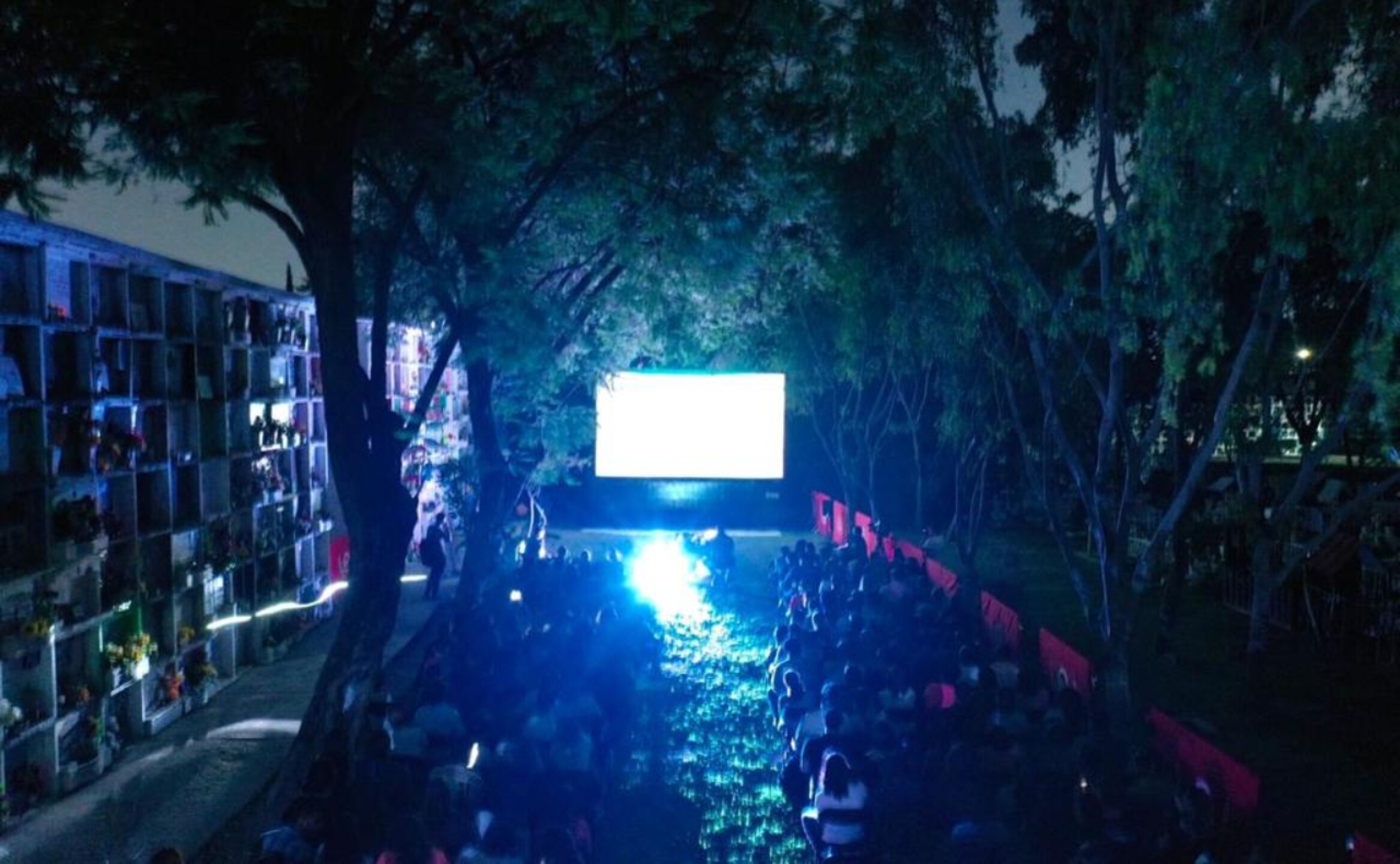 Cine-entre-Muertos-2