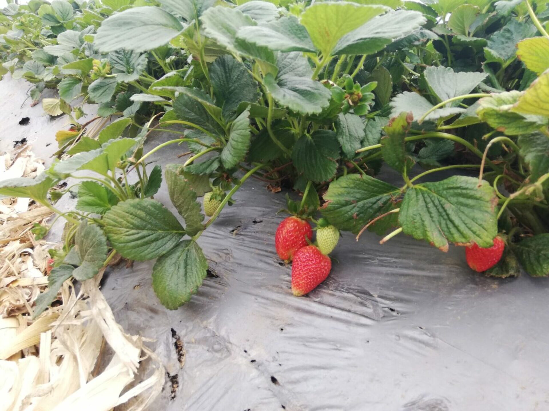 IMG_20230503_113633-1280x960