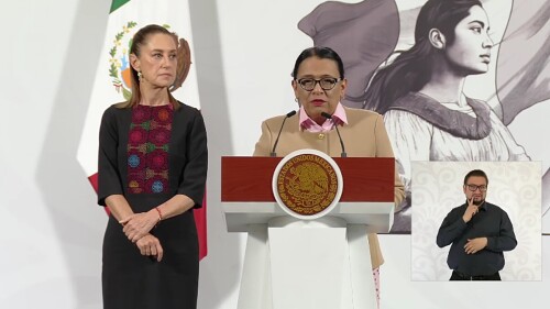 Rosa Icela Atención a las Causas.jpg