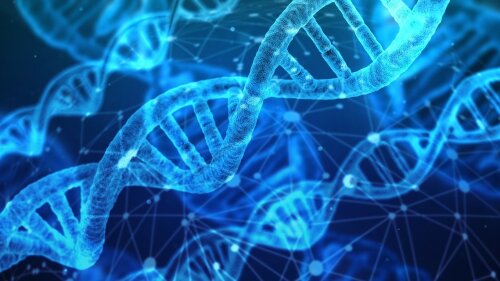 dna-g856480505_1280