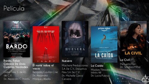 nominados-premios-ariel-2023