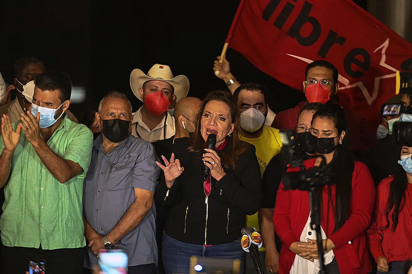 HONDURAS-POLITICS-CASTRO