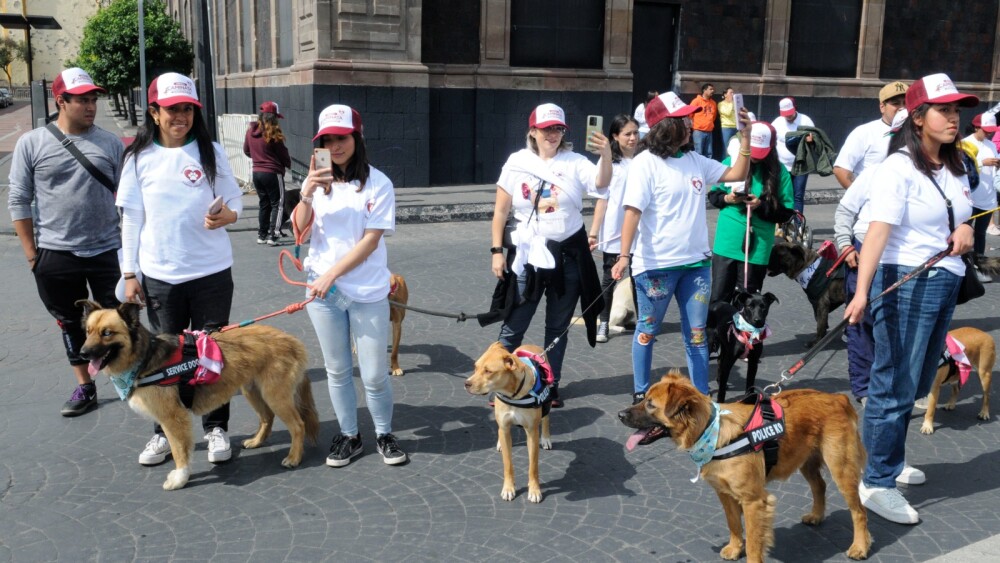 WhatsApp Image 2024-07-21 at 3.34.38 PM (1).jpeg