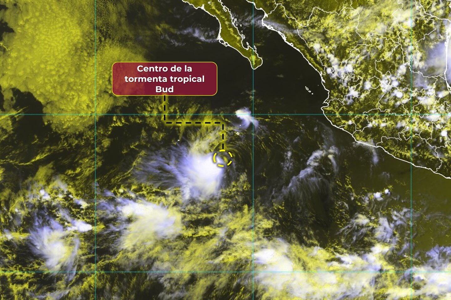 tormenta-tropical-bud.jpg