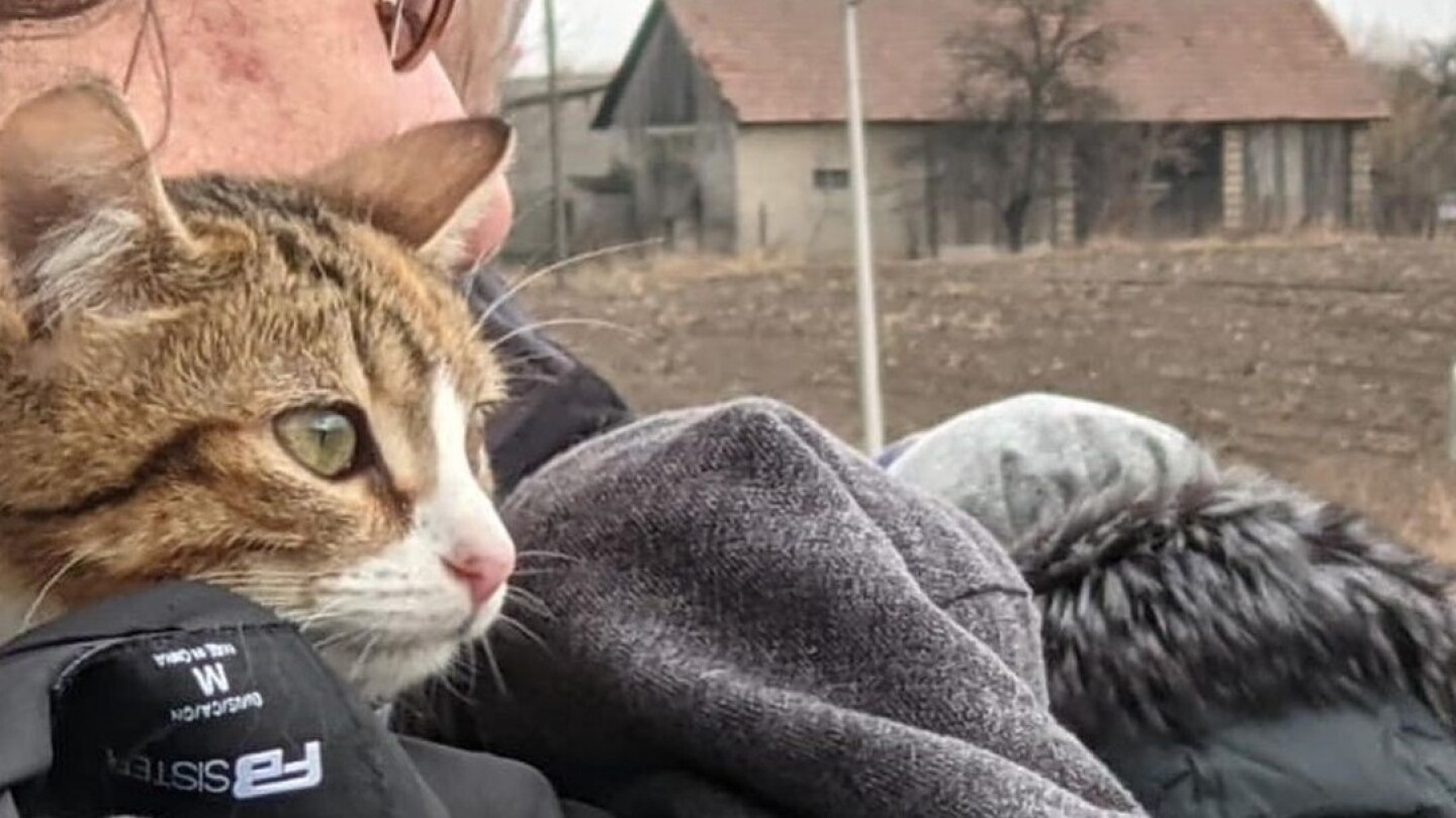 peta evacuacion de mascotas ucrania ancha