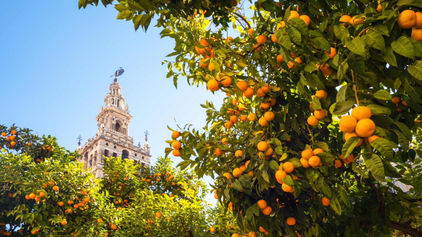 Sevilla