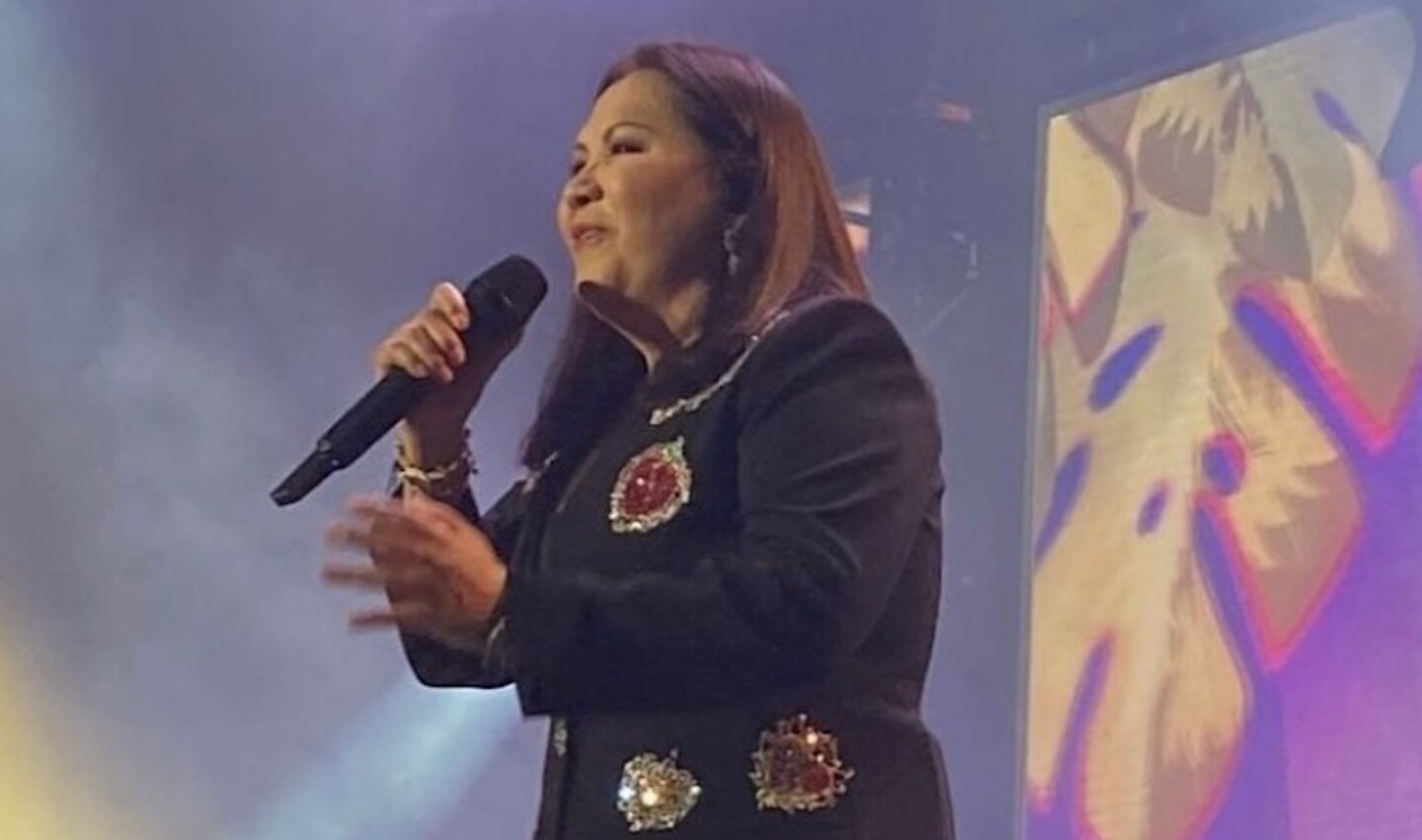 ana-gabriel-en-leon-2024-precios-de-los-boletos-en-funticket