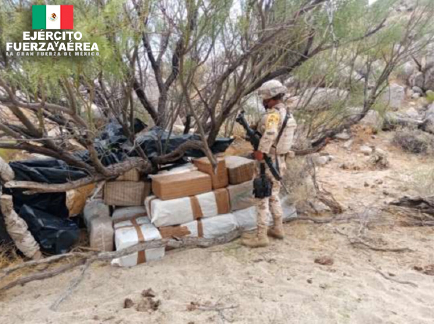 ejecentral_droga_metanfetamina_ensenada