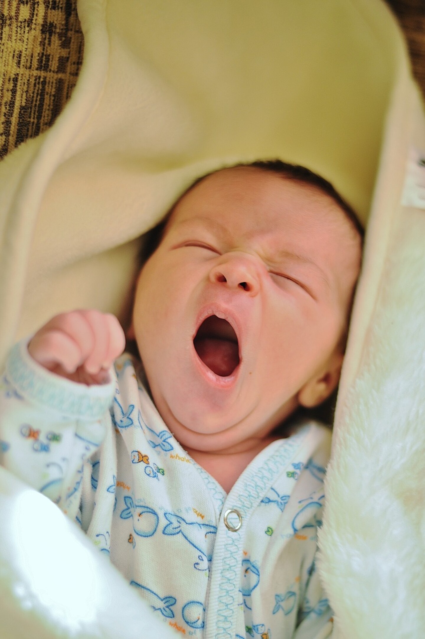 newborn-gb05bccd14_1280