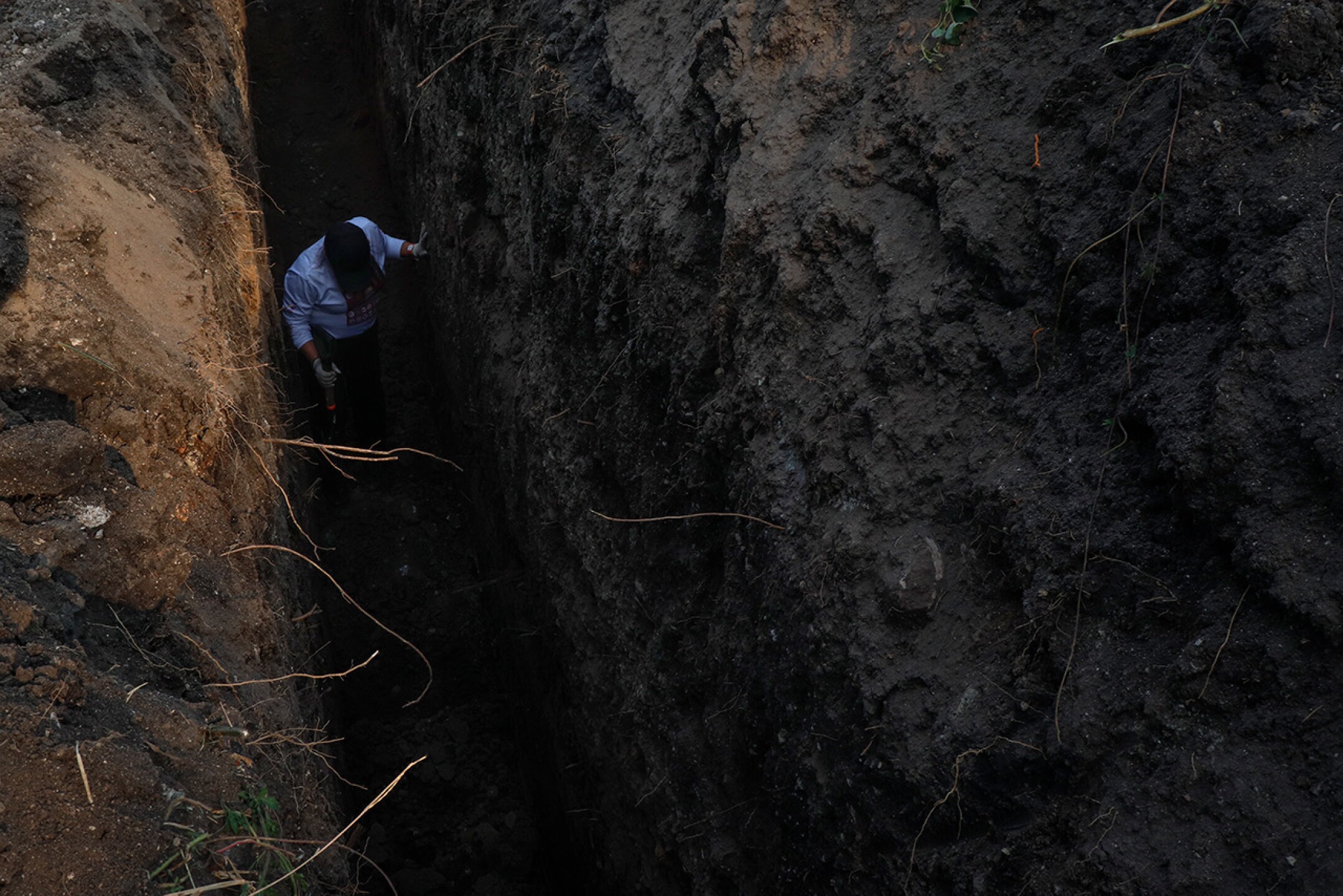 C33845FE-F3E2-4A29-B8AE-E1E03EB45726