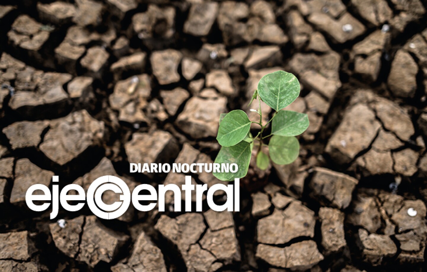 Promo_587_La pérdida de bosques se mantienen en el mundo. ¿México, cómo explotó sus bosques_