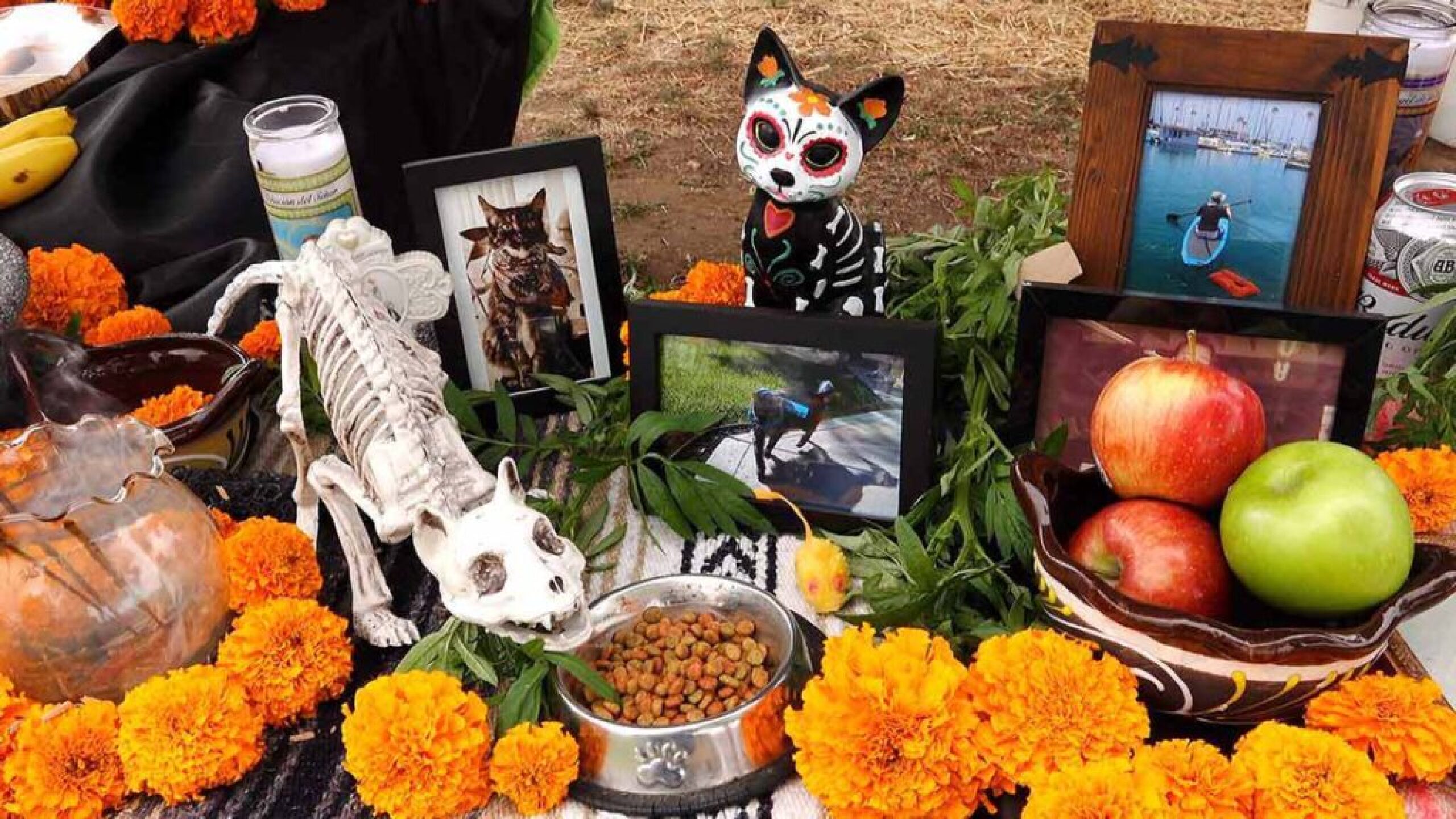 ofrenda 2.jpg