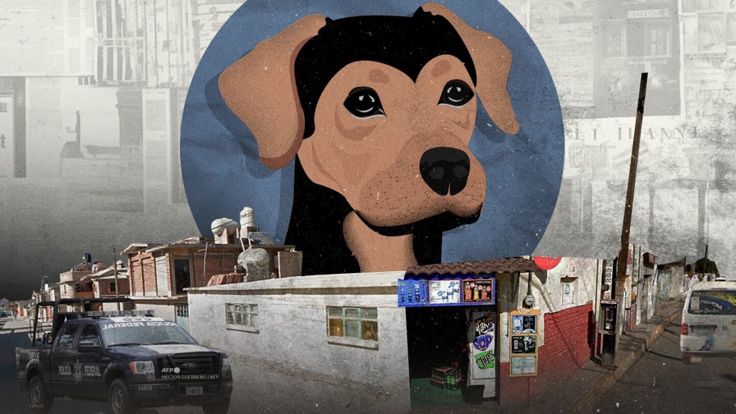 WhatsApp Image 2023-06-12 at 15.11.13