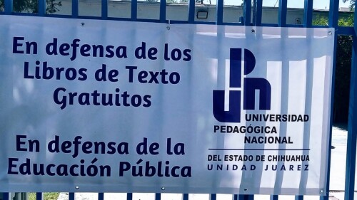 clases Chihuahua