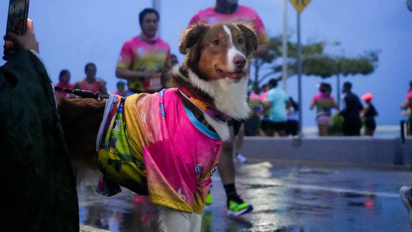 medio-maraton-veracruz-2025-1