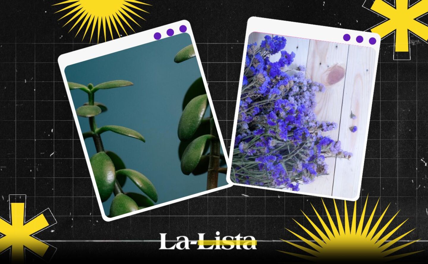 plantas