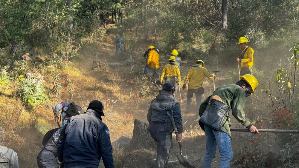 Especial - Incendios forestales, Edomex.jpg