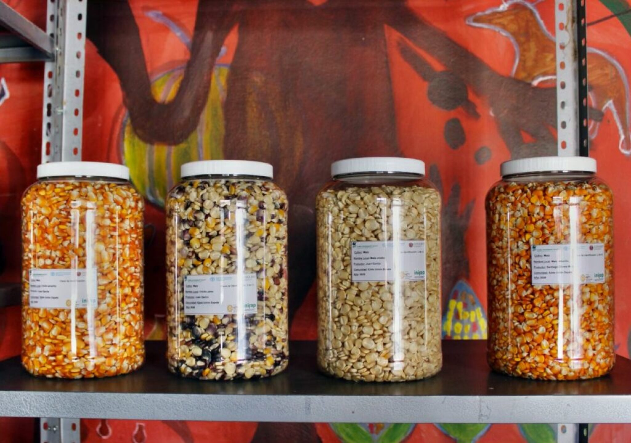 143284089_10159136924574120_7138336611160212369_o-1024x719