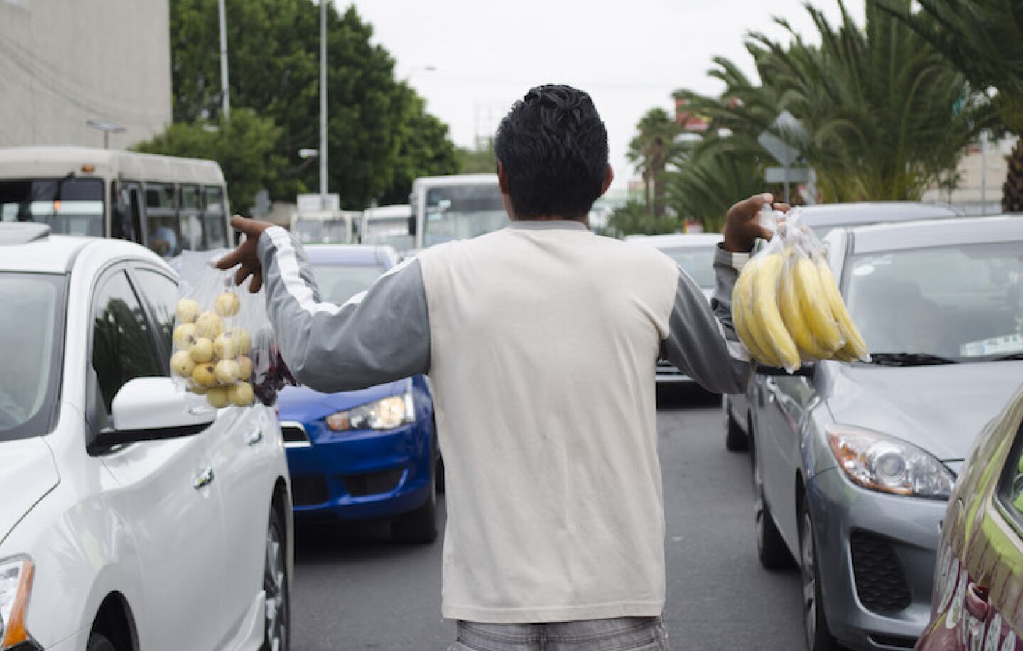 tasa_de_desocupacion