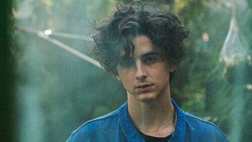 bob_dylan_timothee_chalamet_
